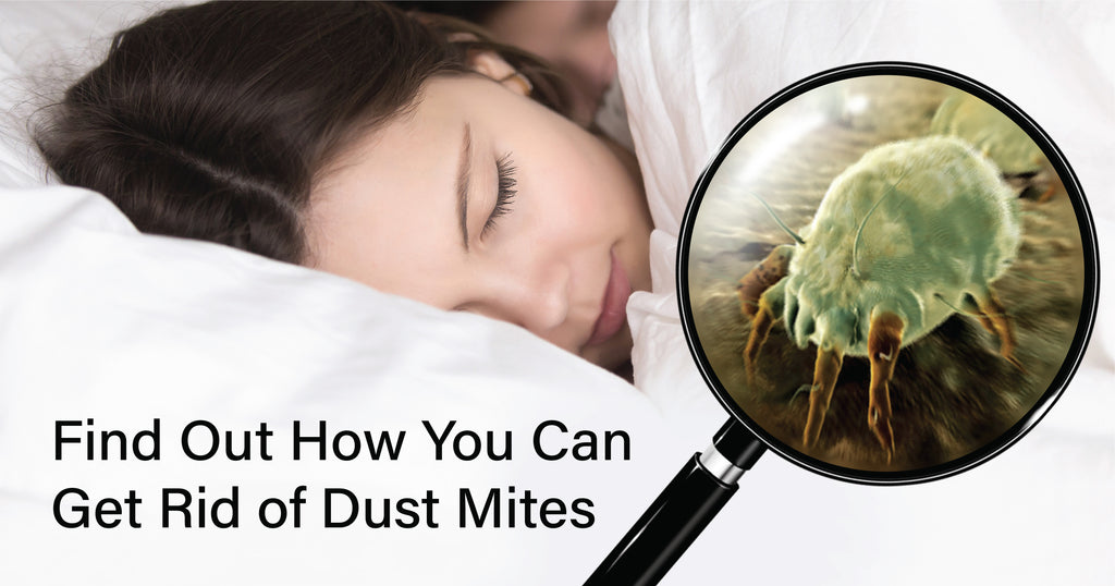 Tips on How to Get Rid of Dust Mites