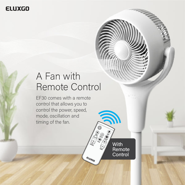 EF30 Air Circulation Stand Fan